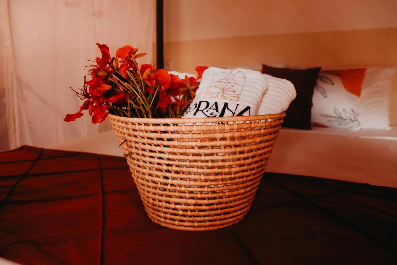 Prana Eco Villa Атинс Екстериор снимка